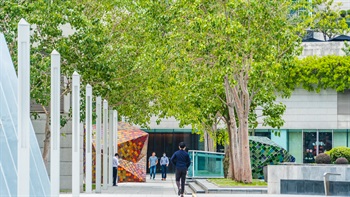 Tree-lined pathways on the rooftop contribute to a healthier and more welcoming environment, it adds natural beauty to the surroundings and enhances the microclimate.